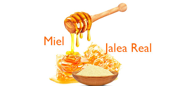 miel y jalea real